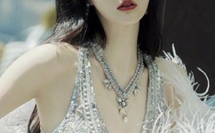 粉红色的火烈鸟图解